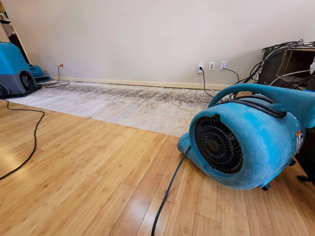 Professional Sewage Cleanup technician working in Leoma, TN